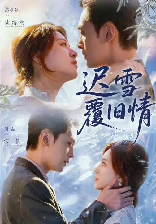 2026年2月6日短剧更新目录6