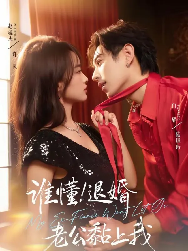 谁懂退婚老公黏上我