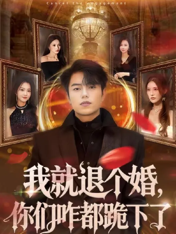 我就退个婚你们咋都跪下了