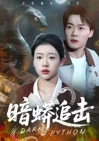 2026年1月2日短剧目录10