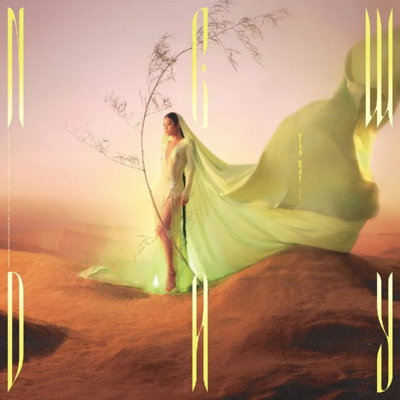 袁娅维-NEWDAY2026FLAC