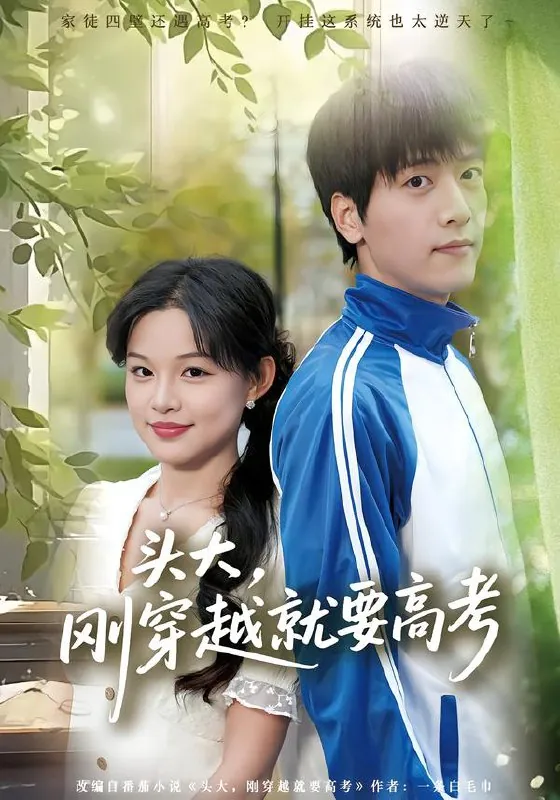 头大刚穿越就要高考