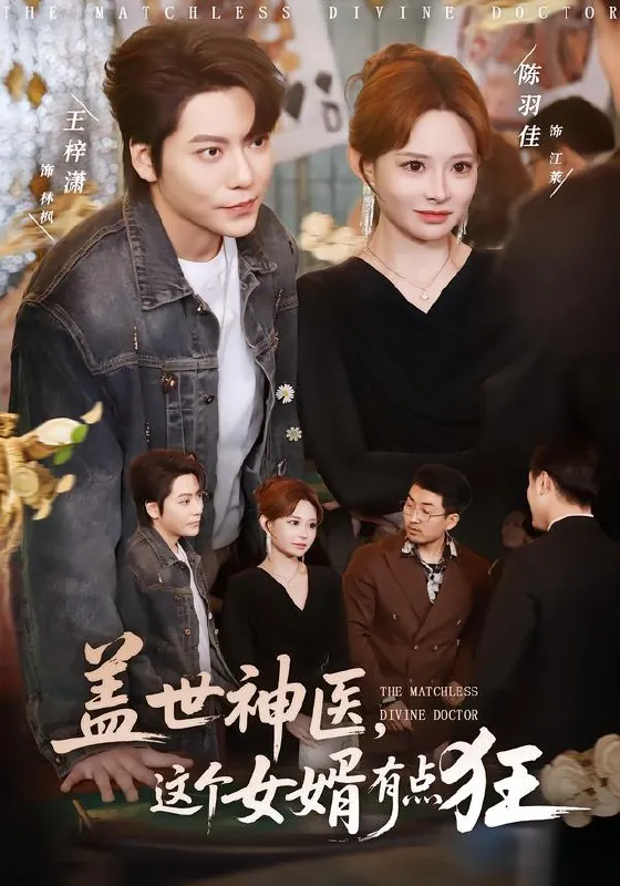 盖世神医这个女婿有点狂