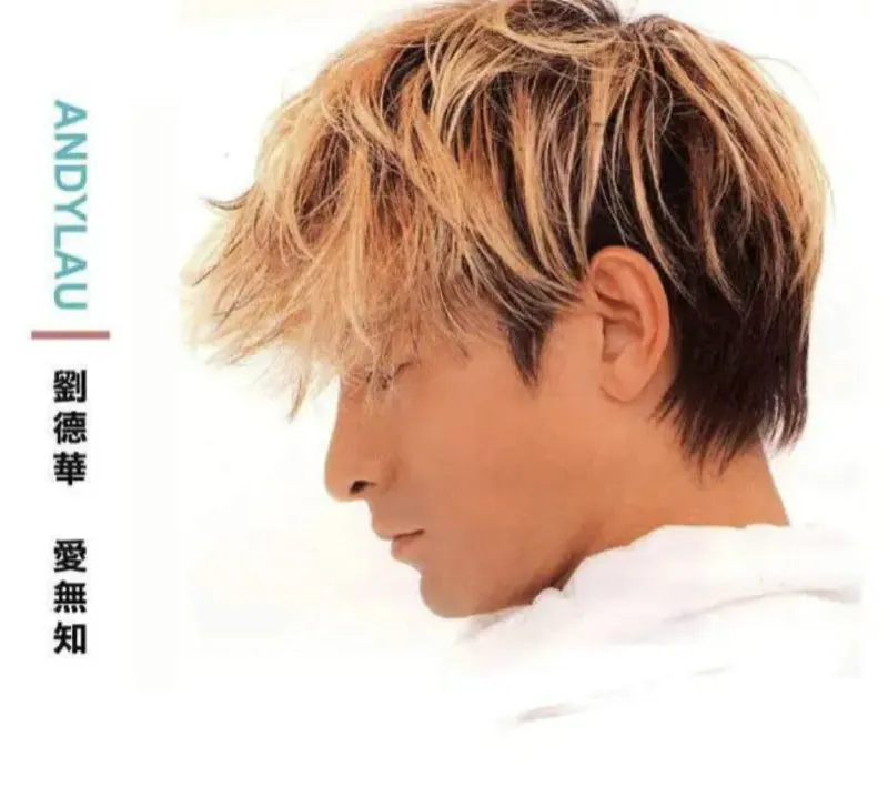 刘德华-爱无知