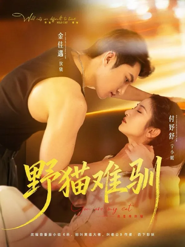 2026年3月18日短剧更新目录