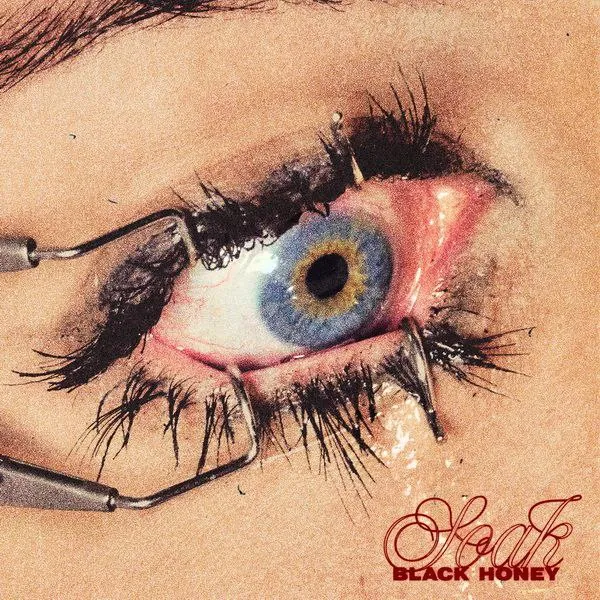 BlackHoneySoak.（2025）