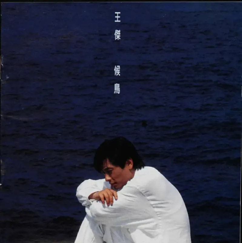 王杰-候鸟