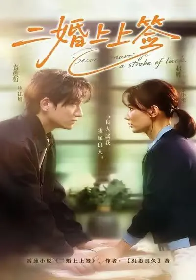 2026年1月1日短剧目录4