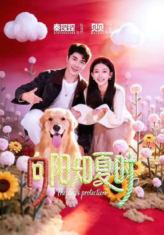 2026年4月19日短剧更新目录7