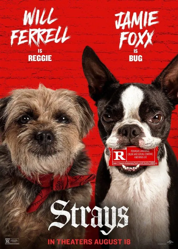 复仇狗联盟.流浪狗