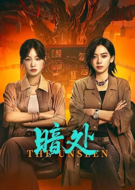 暗处谁在暗处（2026）