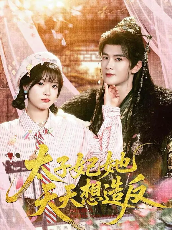 2026年2月17日短剧更新目录6