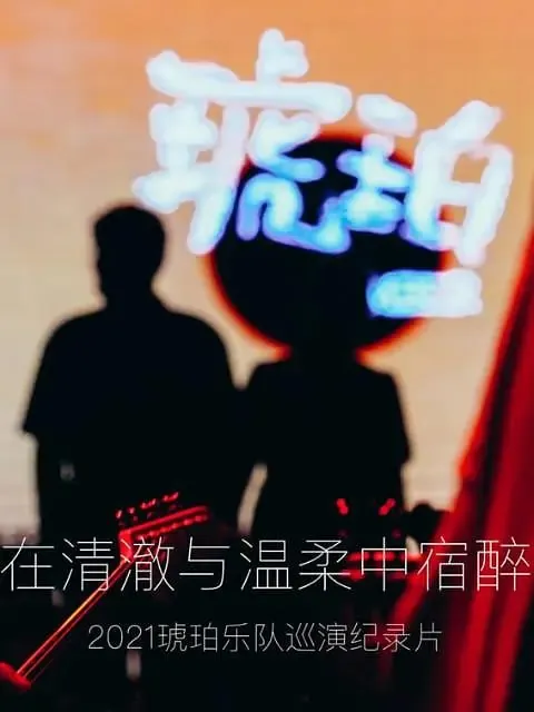琥珀，在清澈与温柔中宿醉（2021）