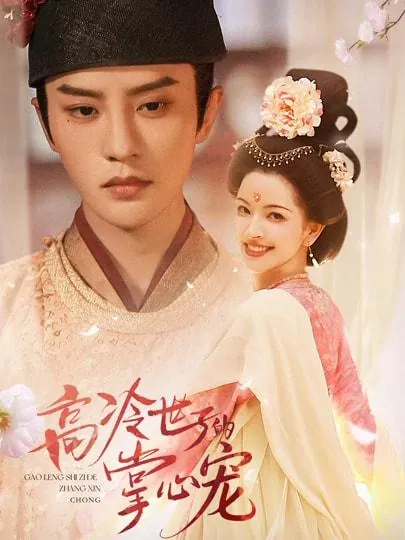 2026年2月21日短剧更新目录5