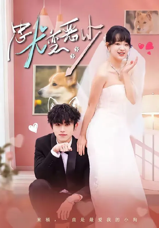 惊我家来福变恶少了忠犬变恶少