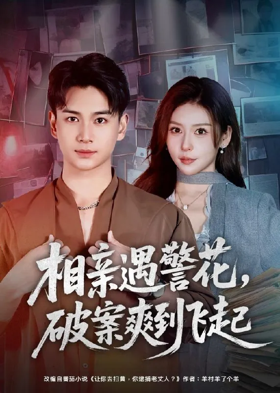 相亲遇警花破案爽到飞起