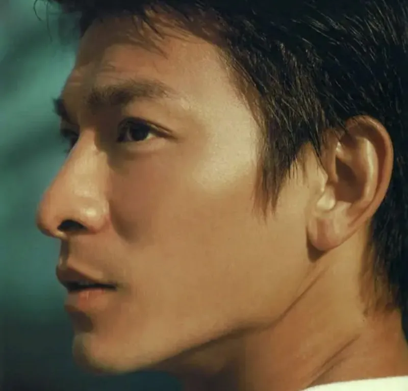 刘德华-美丽的一天