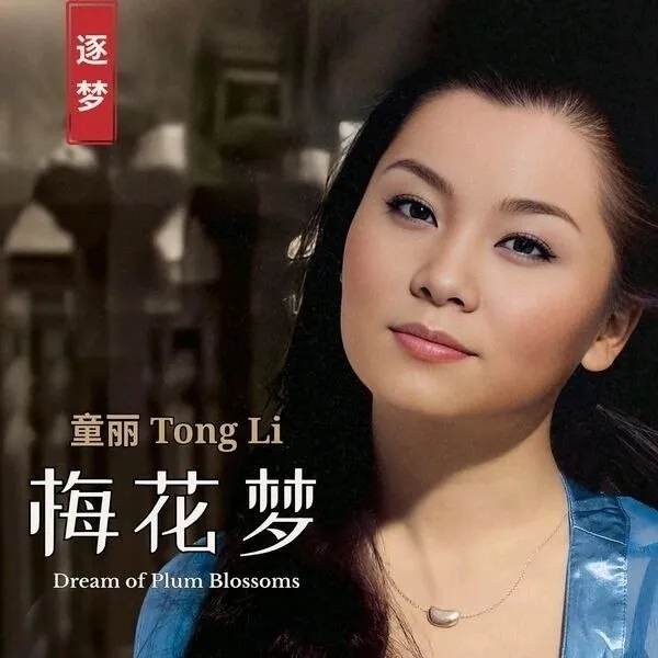 童丽-梅花梦
