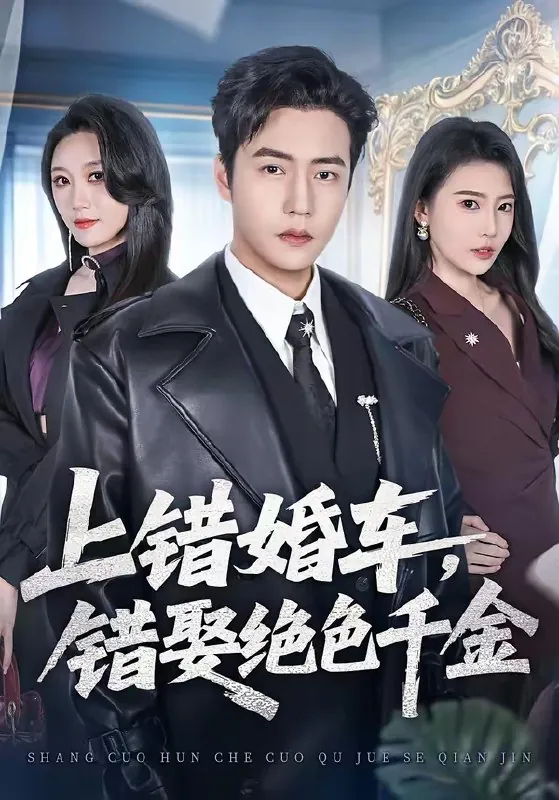 上错婚车错娶绝色千金