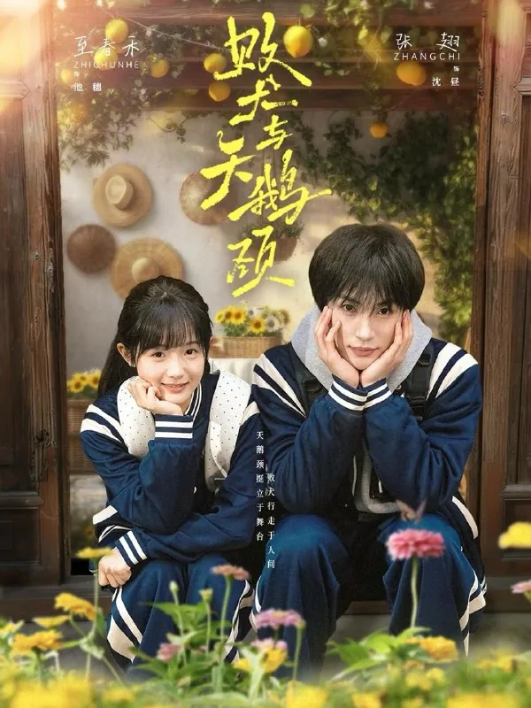 2026年5月3日短剧更新目录