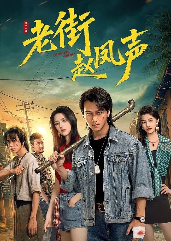 老街赵凤声老街中的痞子