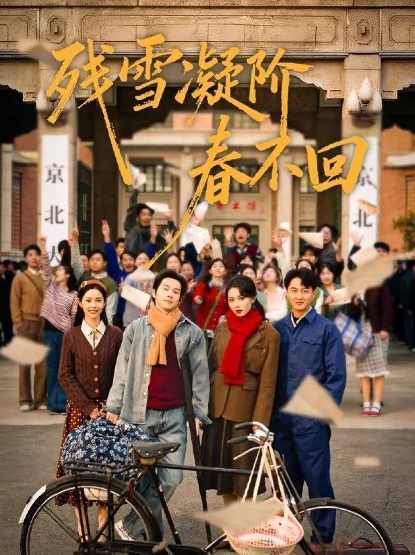 2026年2月20日短剧更新目录6