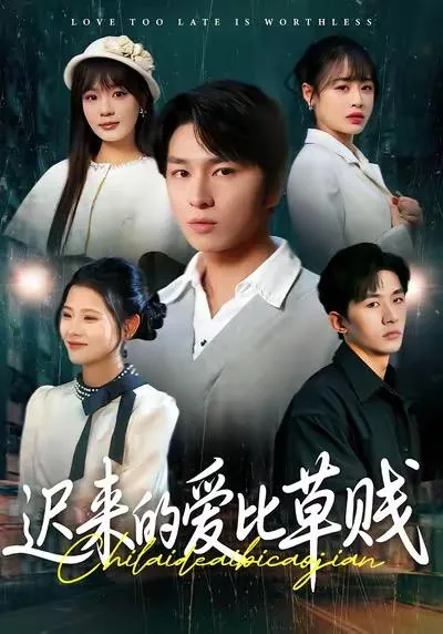 2026年1月9日短剧目录12