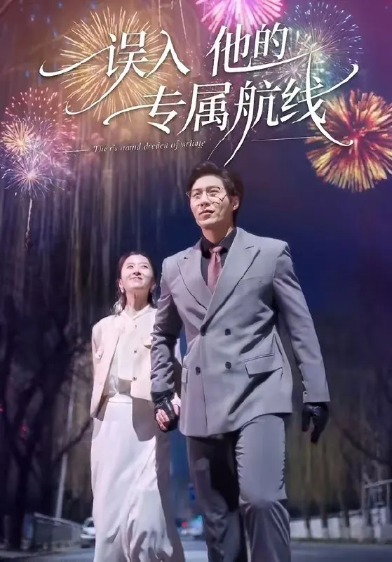 误入他的专属航线