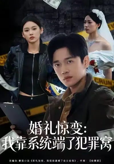 婚礼惊变我靠系统端了犯罪窝