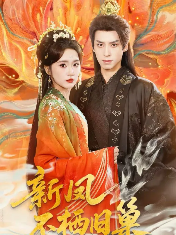 2026年2月28日短剧更新目录23