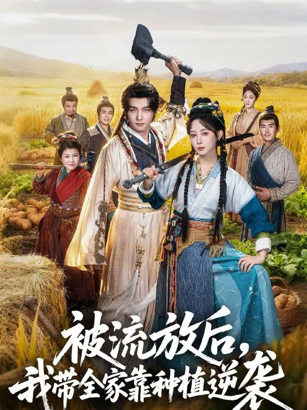 2026年2月16日短剧更新目录9