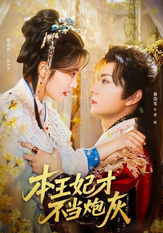 2026年2月4日短剧更新目录9