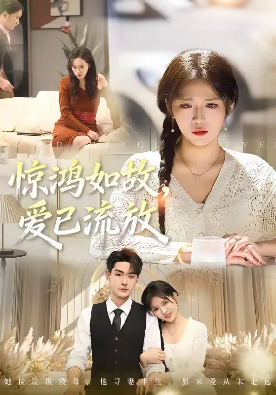 惊鸿如故爱已流放