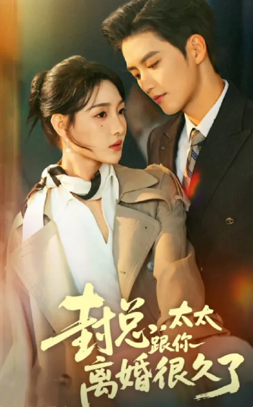 封总太太跟你离婚很久了