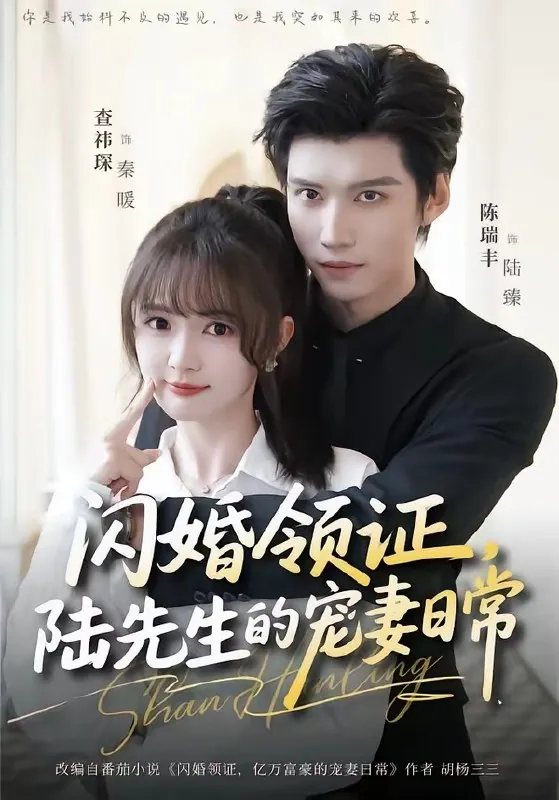 闪婚领证陆先生的宠妻日常