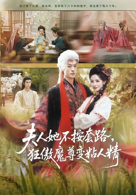 2026年3月7日短剧更新目录5