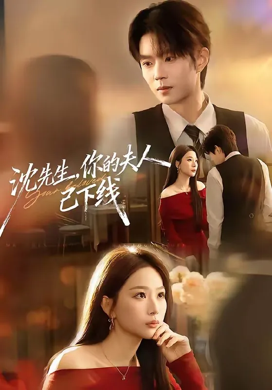 沈先生你的夫人已下线