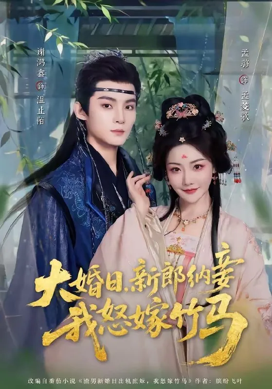 大婚日新郎纳妾我怒嫁竹马
