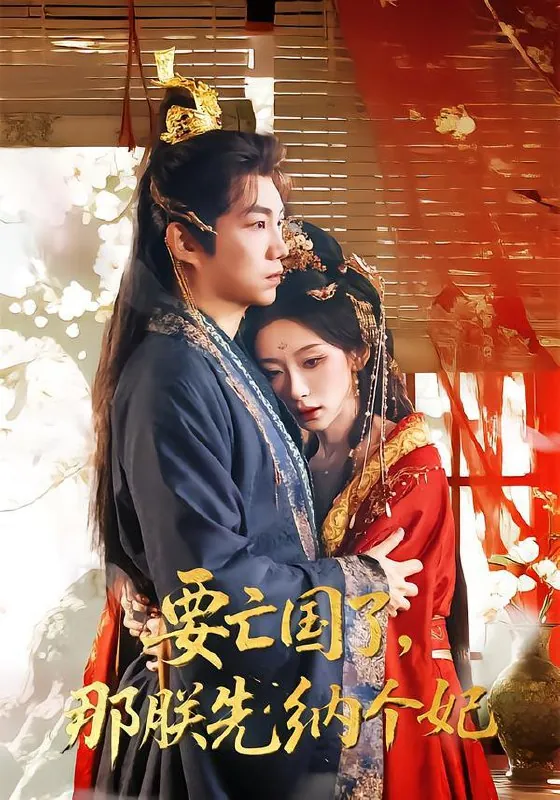 2026年2月10日短剧更新目录10