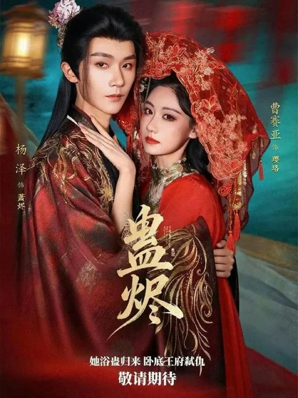 2026年2月1日短剧更新目录4