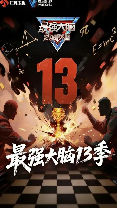 最强大脑第十三季