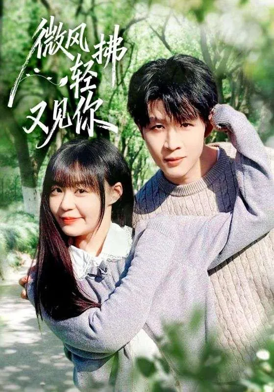 2026年2月3日短剧更新目录9